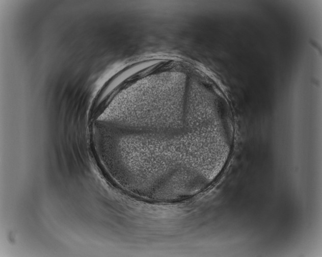 X0000100880008200807111354