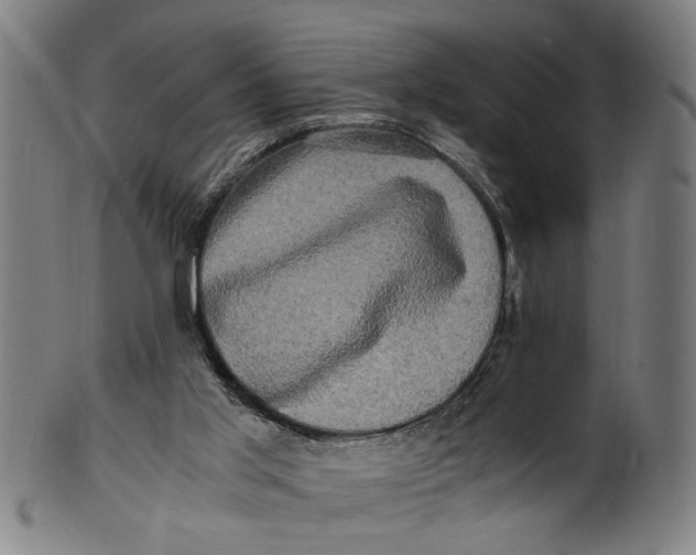 X0000100880013200807111354