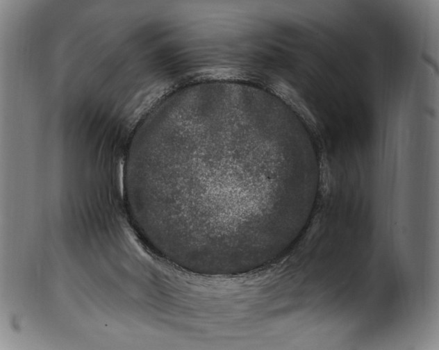 X0000100880014200807111354