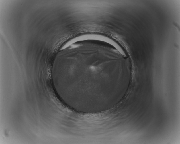 X0000100880017200807111354