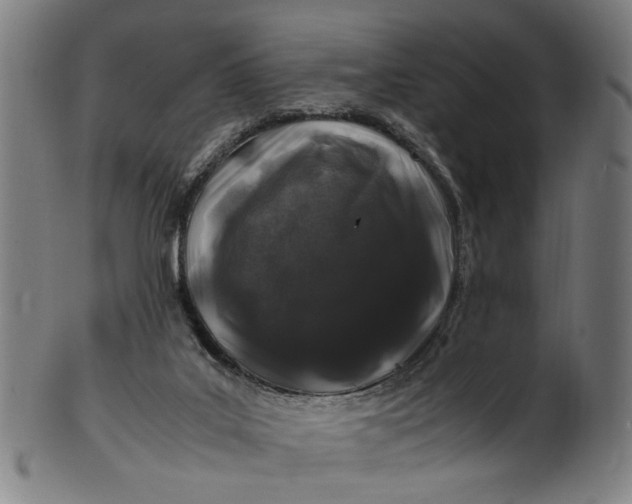 X0000100880019200807111354