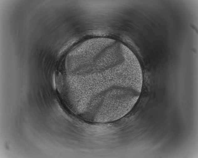 X0000100880020200807111354