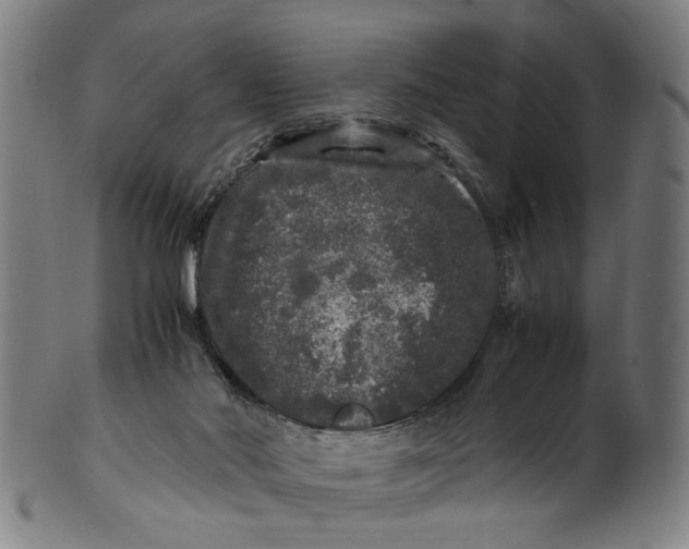 X0000100880022200807111354