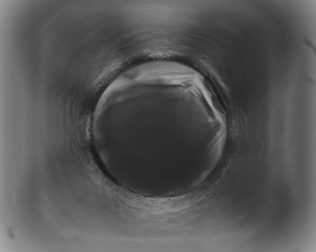 X0000100880023200807111354