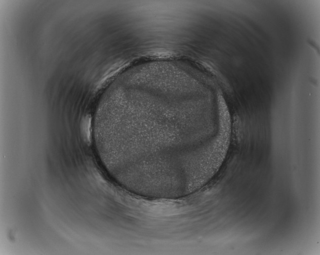 X0000100880024200807111354