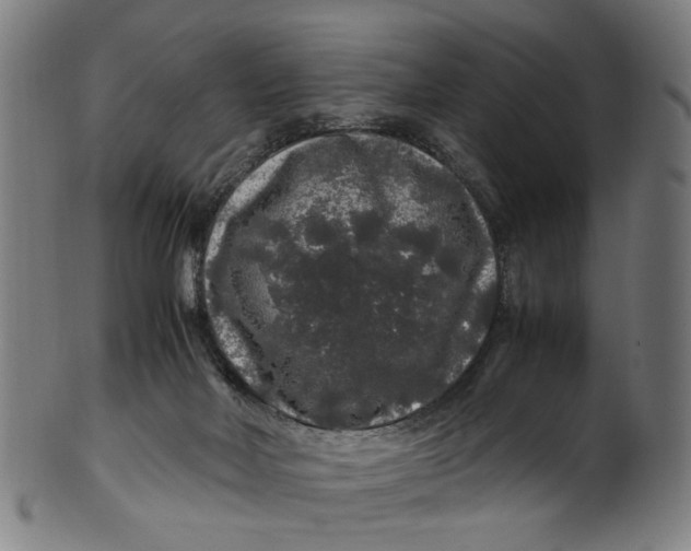 X0000100880026200807111354