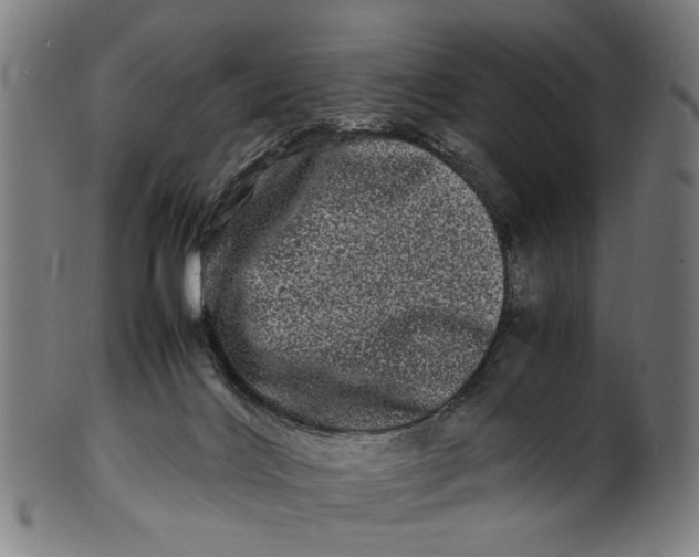 X0000100880028200807111354