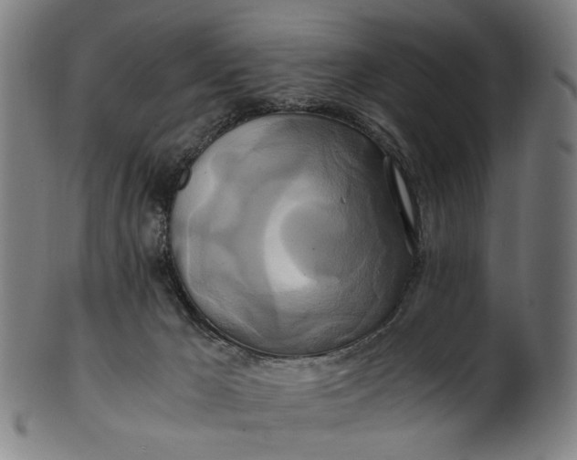 X0000100880029200807111354