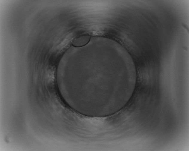 X0000100880032200807111353