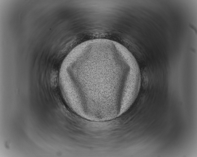 X0000100880034200807111353