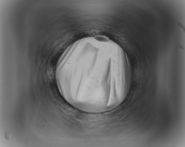 X0000100880037200807111353