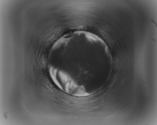 X0000100880039200807111353