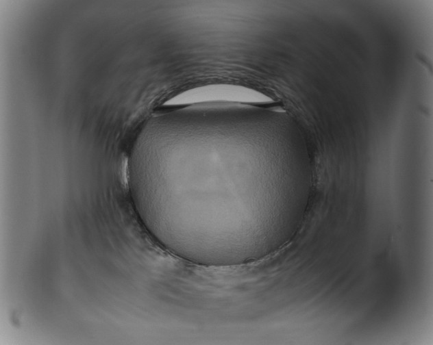 X0000100880041200807111353