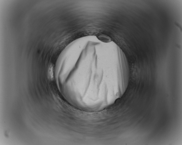 X0000100880042200807111353