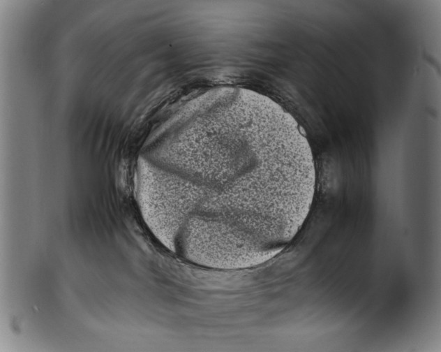 X0000100880044200807111353