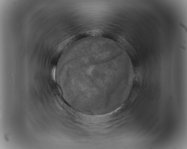 X0000100880047200807111353