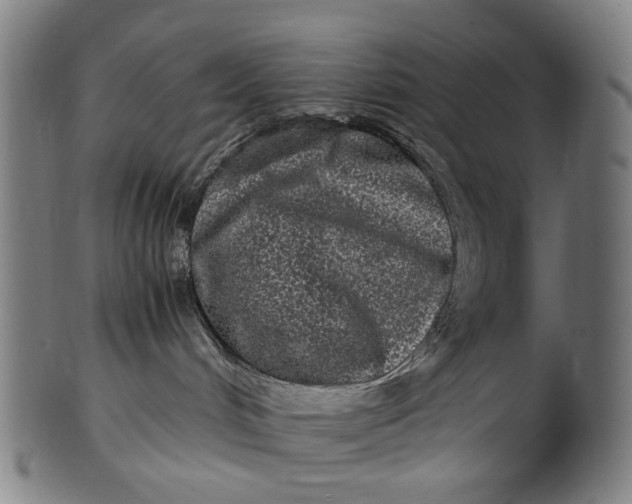 X0000100880048200807111353