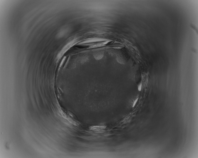 X0000100880051200807111352