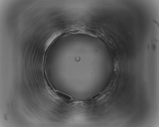 X0000100880052200807111352