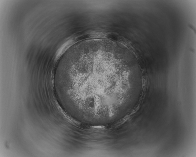 X0000100880053200807111352