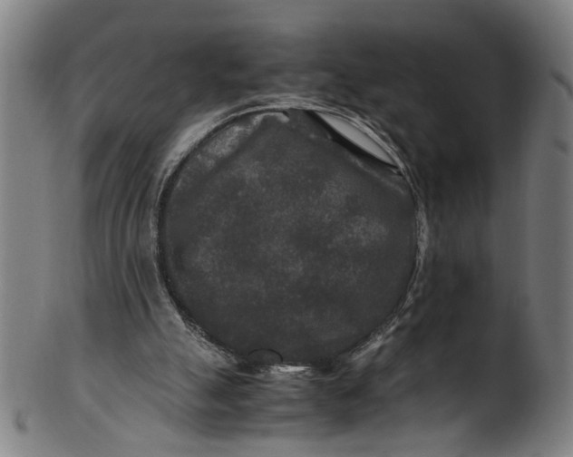 X0000100880055200807111352