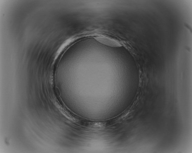 X0000100880056200807111352