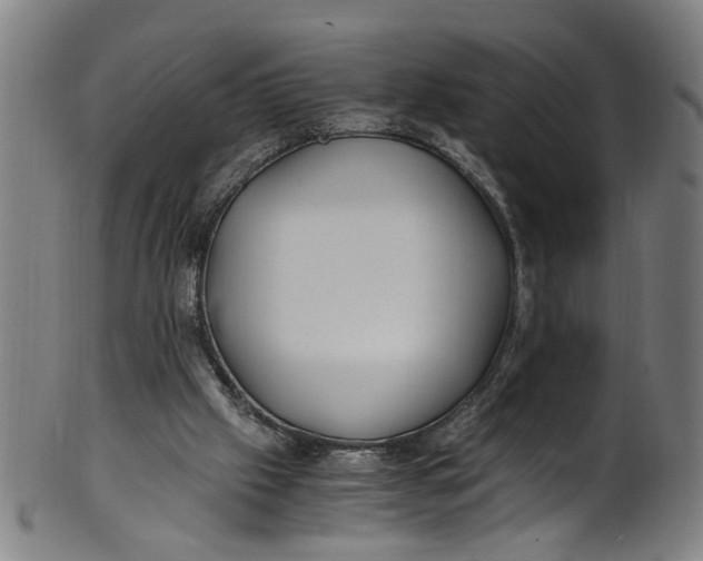 X0000100880057200807111352