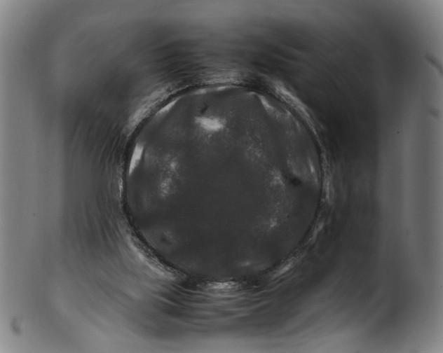 X0000100880059200807111352