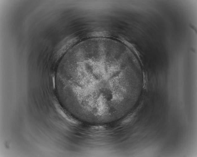 X0000100880061200807111352