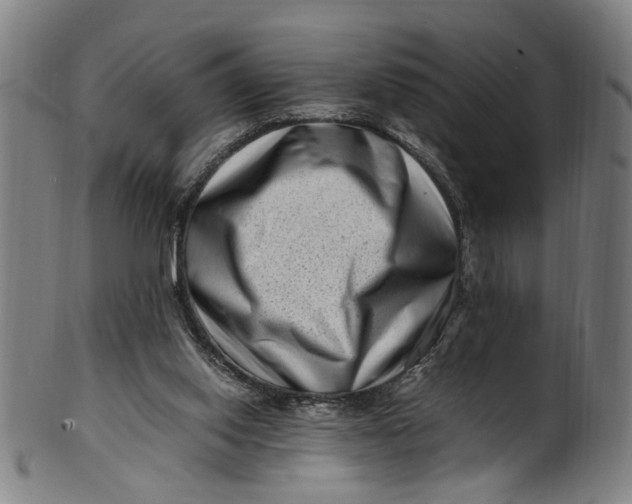 X0000100880062200807111352