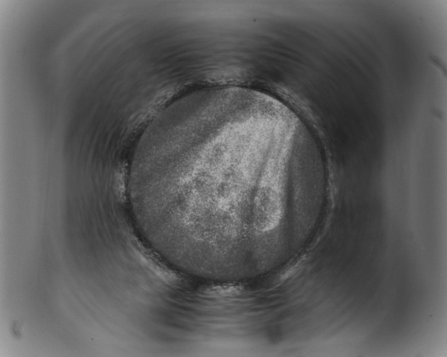 X0000100880065200807111352