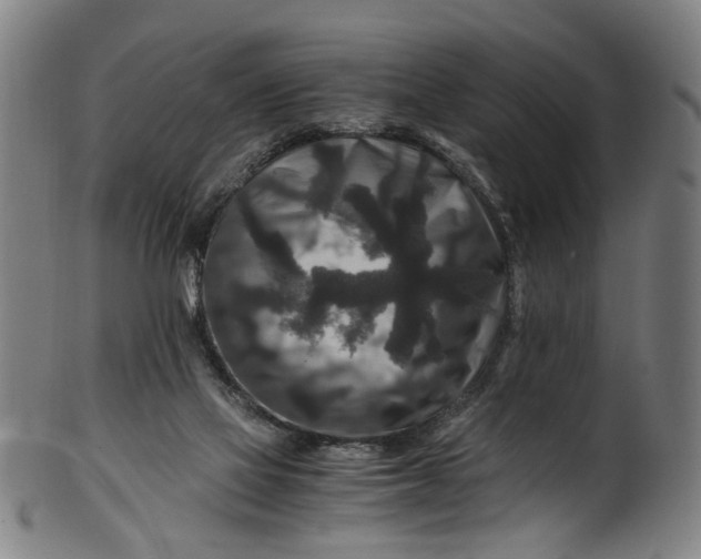 X0000100880069200807111353