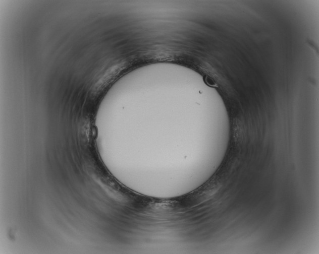 X0000100880072200807111353