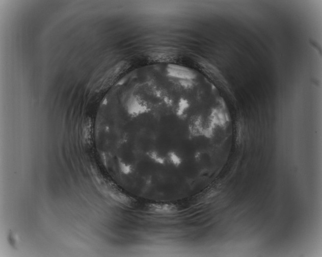 X0000100880073200807111353