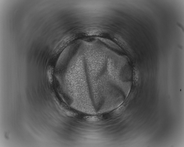 X0000100880074200807111353