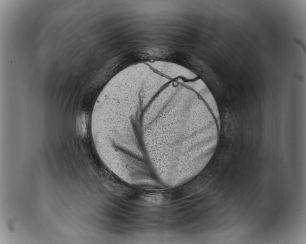 X0000100880075200807111353