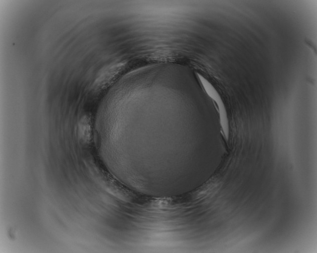 X0000100880080200807111353