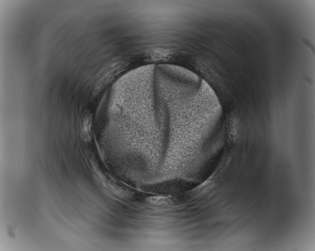 X0000100880082200807111353