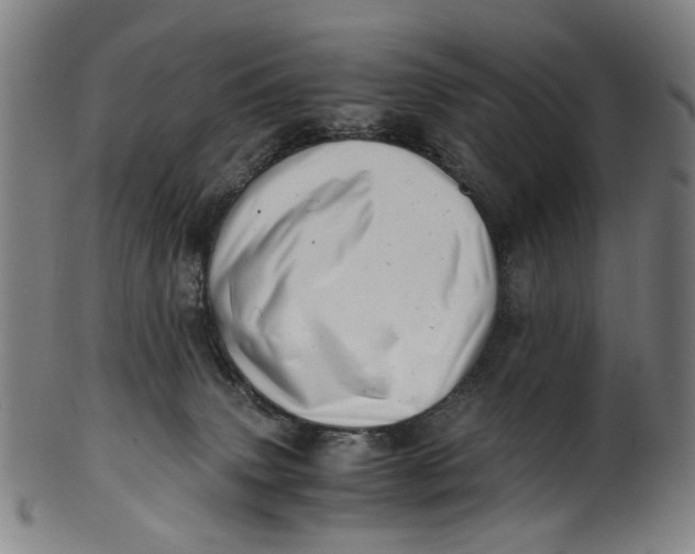 X0000100880083200807111353