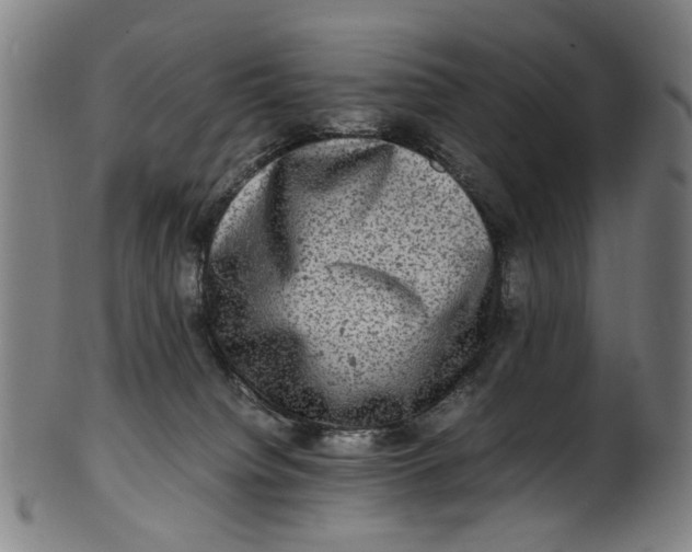 X0000100880084200807111353