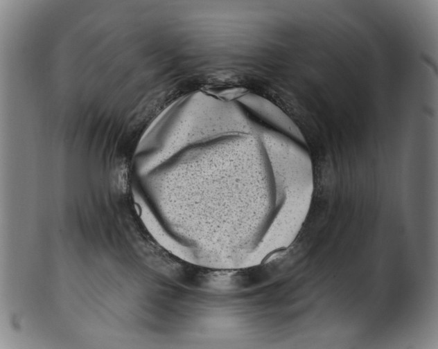 X0000100880090200807111353