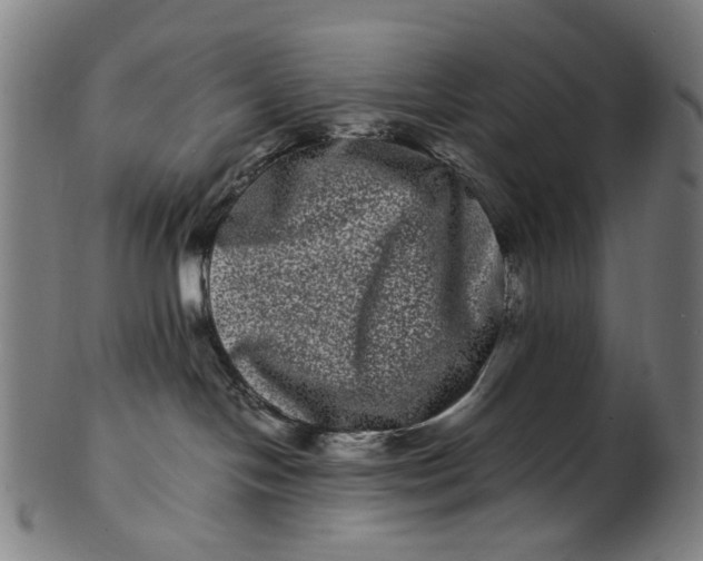 X0000100880094200807111353