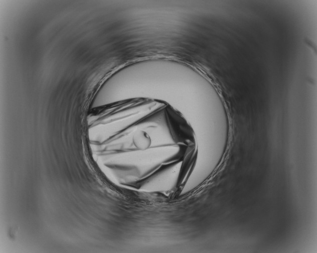 X0000100880097200807111352