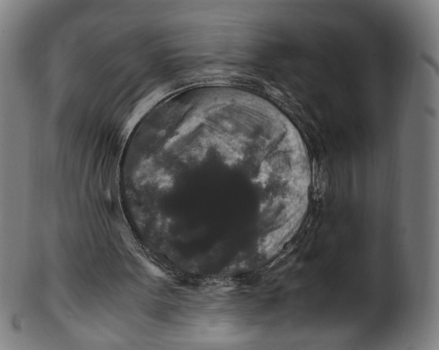 X0000100880099200807111352