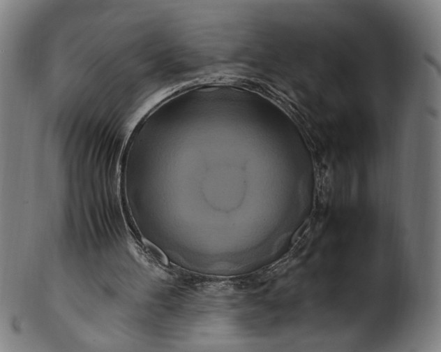 X0000100880100200807111352