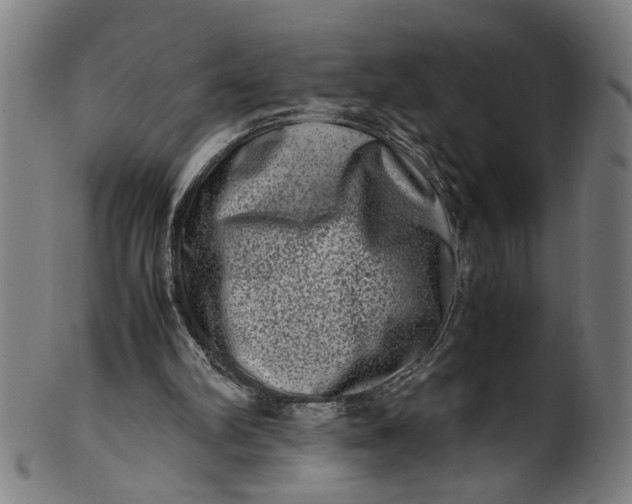 X0000100880102200807111352