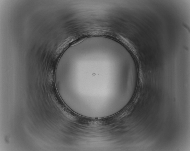 X0000100880105200807111352