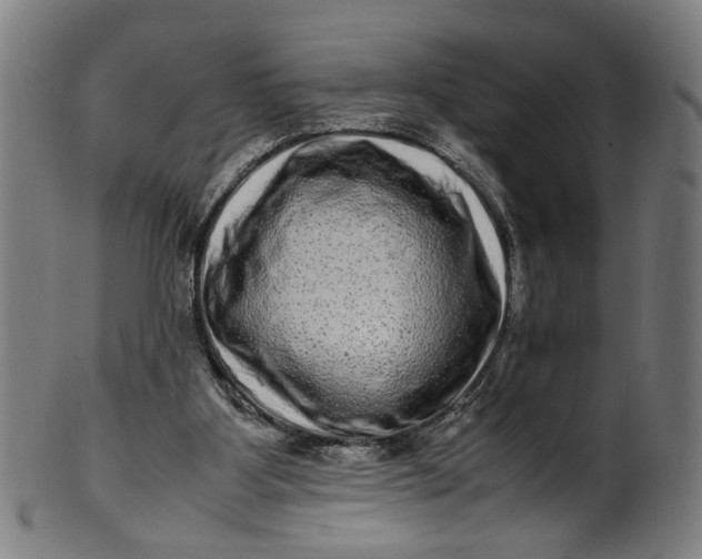 X0000100880107200807111352