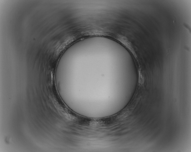 X0000100880109200807111352