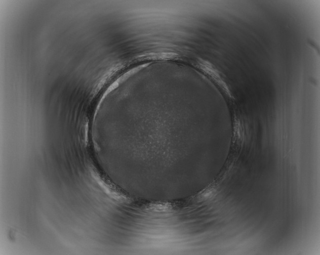 X0000100880110200807111352